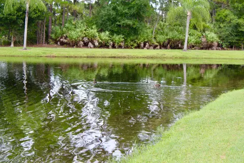 3787 SE Bluebill Pl, Stuart, FL 34997 photo 47