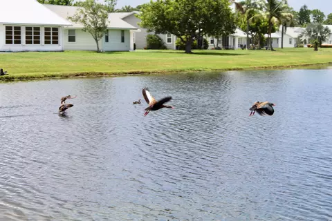 3787 SE Bluebill Pl, Stuart, FL 34997 photo 51