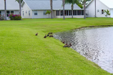 3787 SE Bluebill Pl, Stuart, FL 34997 photo 44