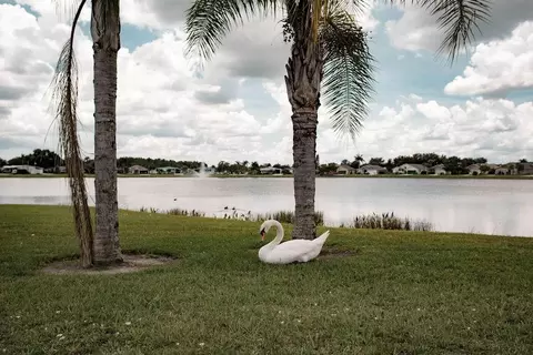 2498 SW Olds Pl, Stuart, FL 34997 photo 38