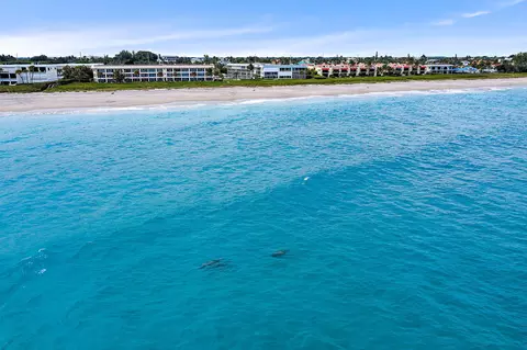 120 Celestial Way #106, Juno Beach, FL 33408 photo 57