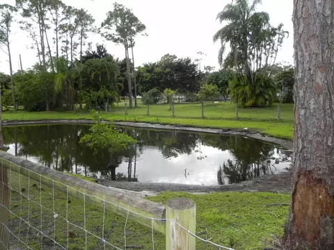 12919 169th Ct N, Jupiter, FL 33478 photo 15