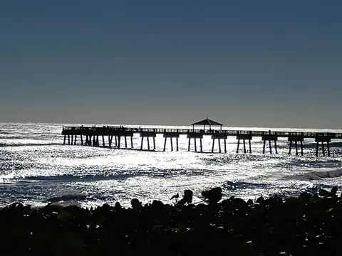 461 Surfside Ln, Juno Beach, FL 33408 photo 52