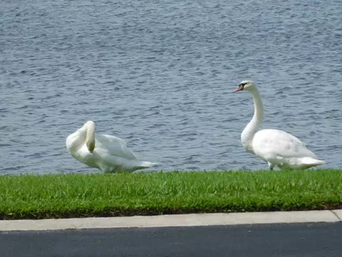 8925 SW Chevy Cir, Stuart, FL 34997 photo 49