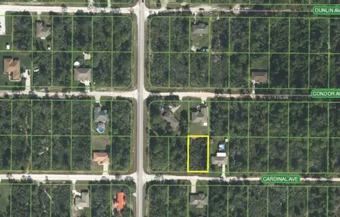 259 Cardinal Ave, Sebring, FL 33870 photo 3