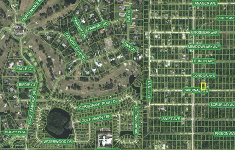 259 Cardinal Ave, Sebring, FL 33870 photo 5