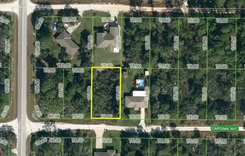 259 Cardinal Ave, Sebring, FL 33870 photo 2