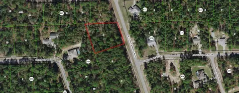 4228 W Citrus Springs Blvd, Dunnellon, FL 34433