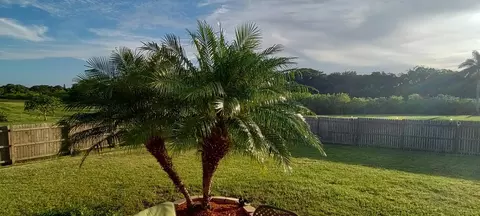 1112 SE 12 Dr, Okeechobee, FL 34974 photo 8