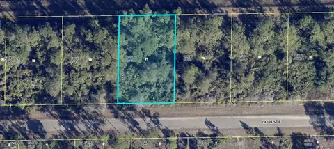 1113 Capri St E, Lehigh Acres, FL 33974