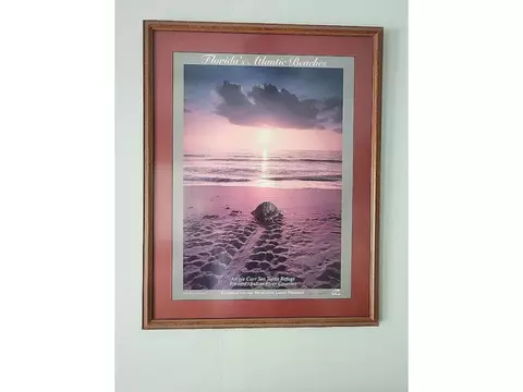 808 SE Ocean Ave, Stuart, FL 34996 photo 30