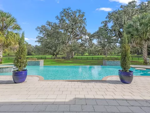12385 NW Highway 225a, Reddick, FL 32686 photo 39