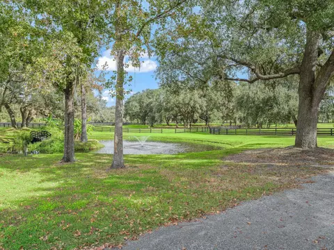 12385 NW Highway 225a, Reddick, FL 32686 photo 57
