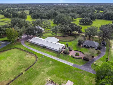 12385 NW Highway 225a, Reddick, FL 32686 photo 78