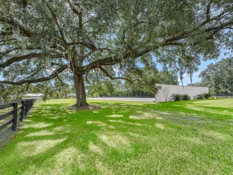 12385 NW Highway 225a, Reddick, FL 32686 photo 48