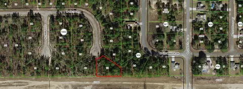 1005 W Riley Dr, Dunnellon, FL 34434