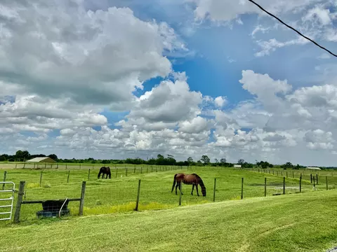 28210 NE 48th Ave, Okeechobee, FL 34972 photo 3
