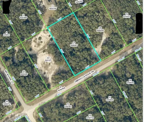 0 Umbrella Rock Dr, Webster, FL 33597