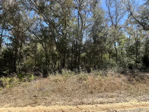 tbd Walker Dr, Interlachen, FL 32148 photo 6