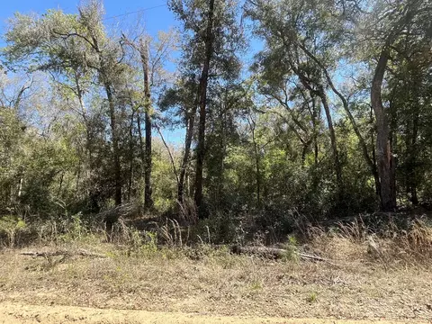 tbd Walker Dr, Interlachen, FL 32148 photo 5
