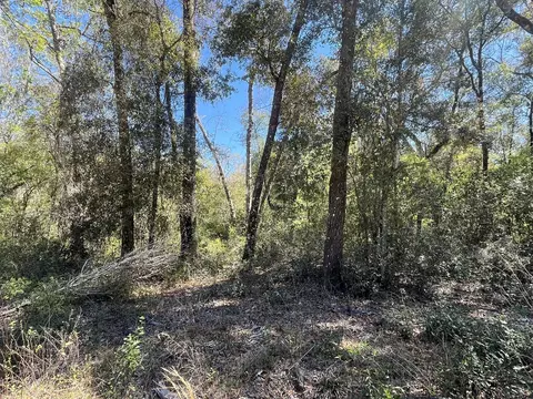 tbd Walker Dr, Interlachen, FL 32148 photo 7