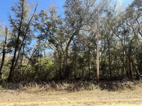 tbd Walker Dr, Interlachen, FL 32148 photo 4
