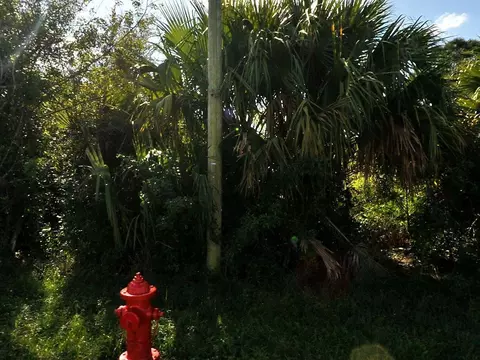 884 SW Mccoy Ave, Port St Lucie, FL 34953