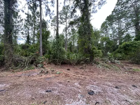 147 Roebuck St, Georgetown, FL 32139
