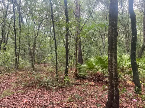 tbd Delaware Ave, Interlachen, FL 32148