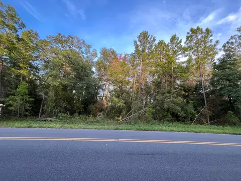 tbd Twin Lakes Rd, Interlachen, FL 32148