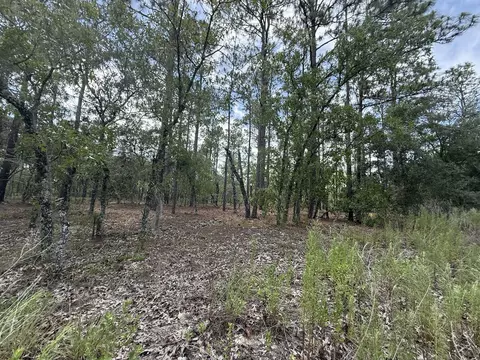 tbd NW Tree Top Rd, Dunnellon, FL 34431