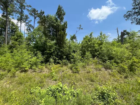 tbd Grand Quiviera Cir, Alford, FL 32420