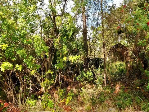 0 Haffenberg Ave, North Port, FL 34288
