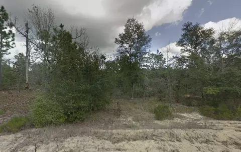 187 Paris St, Interlachen, FL 32148 photo 2