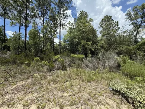 187 Paris St, Interlachen, FL 32148 photo 6