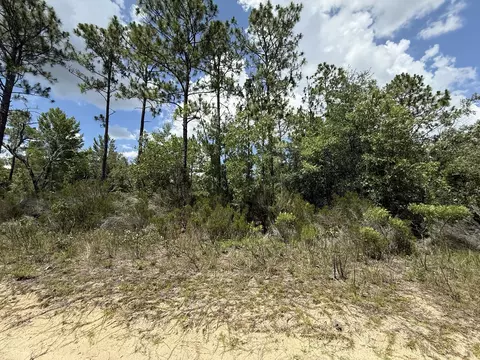 187 Paris St, Interlachen, FL 32148