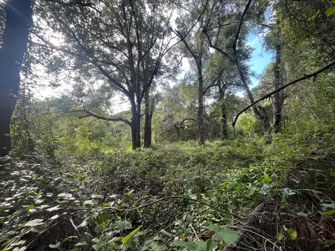305 Milton Ave, Interlachen, FL 32148 photo 2