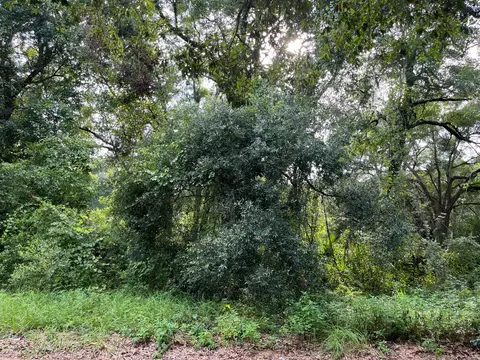 305 Milton Ave, Interlachen, FL 32148 photo 7