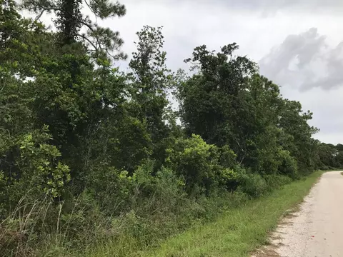 1126 Greenfield St, Lake Placid, FL 33852