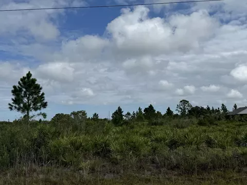 18619 NW 248th St, Okeechobee, FL 34972