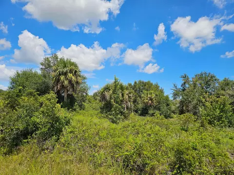 16919 NW 268 St, Okeechobee, FL 34972 photo 6