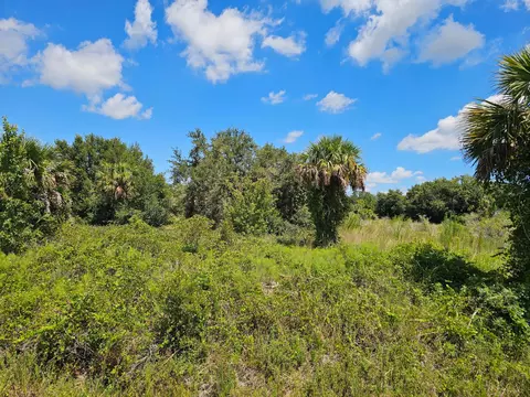 16919 NW 268 St, Okeechobee, FL 34972 photo 5