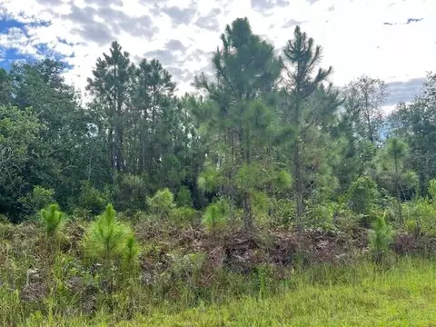 1131 Greenfield St, Lake Placid, FL 33852