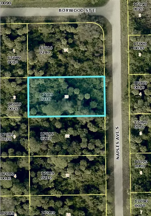 636 Naples Ave S, Lehigh Acres, FL 33974