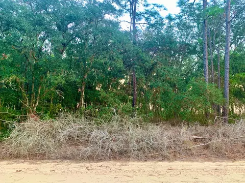 301 S Crestview Ave, Inverness, FL 34452