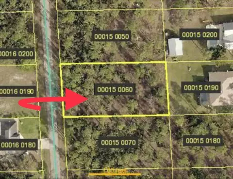 2112 Canton Ave, Alva, FL 33920