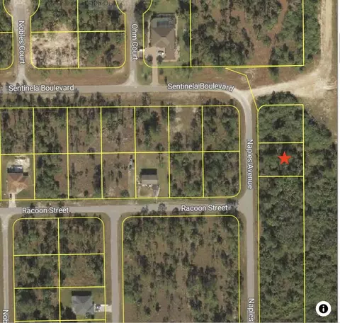 121 Naples Ave S, Lehigh Acres, FL 33974