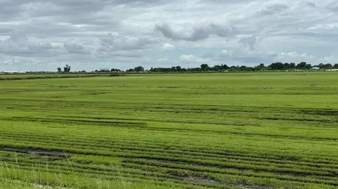 400 State Road 80, Belle Glade, FL 33430