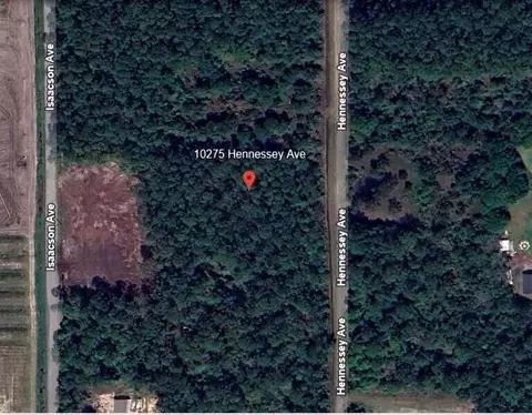 10275 Hennessey Ave, Hastings, FL 32145
