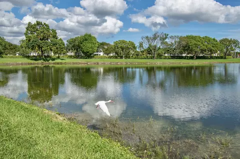 2085 Wolverton E #2085, Boca Raton, FL 33434 photo 28